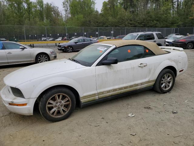 FORD MUSTANG 2005 1zvft84n755126515