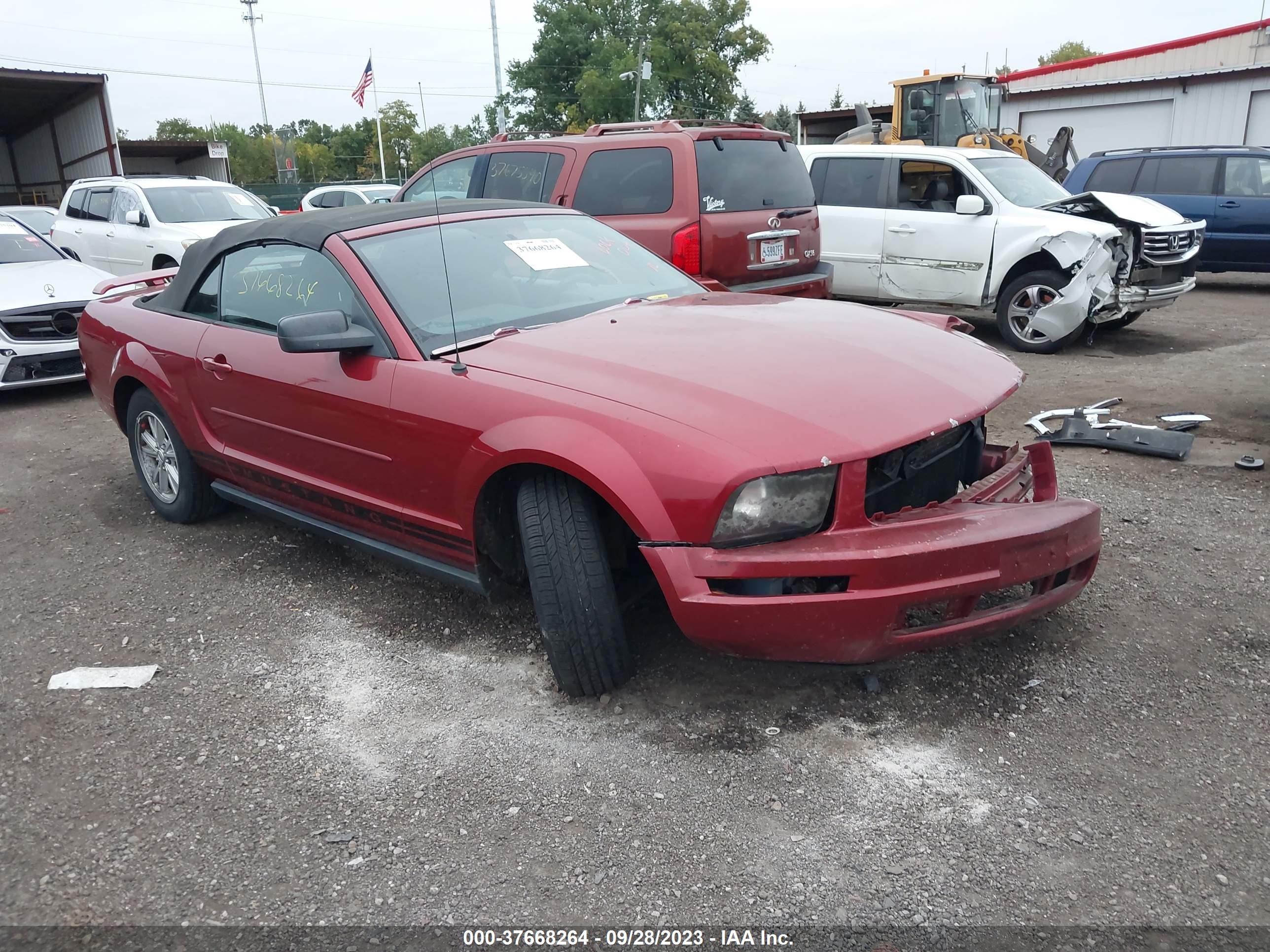 FORD MUSTANG 2005 1zvft84n755197505