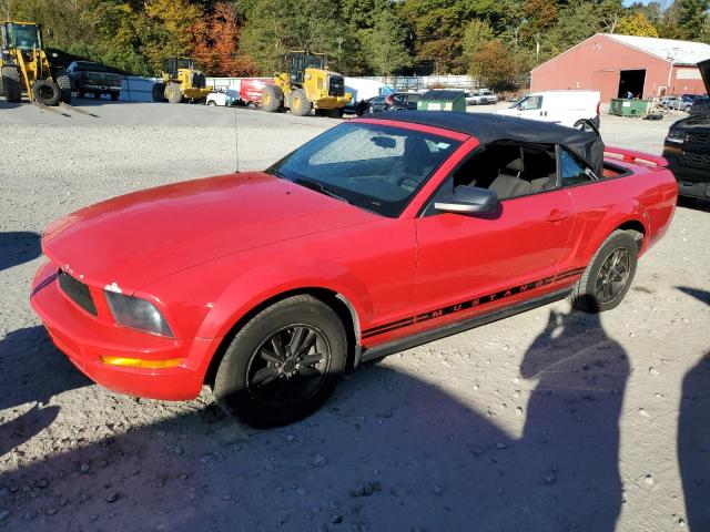 FORD MUSTANG 2006 1zvft84n765109313