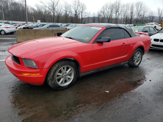 FORD MUSTANG 2006 1zvft84n765209685