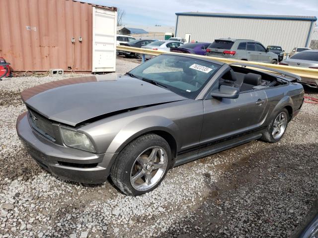 FORD ALL MODELS 2005 1zvft84n855250230