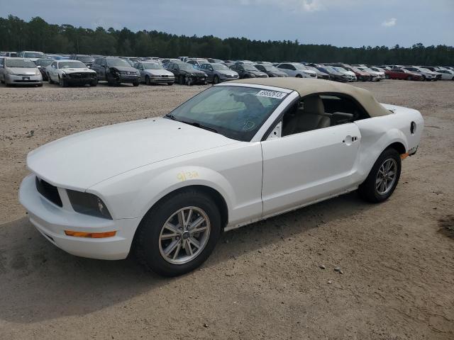 FORD MUSTANG 2005 1zvft84n855257162