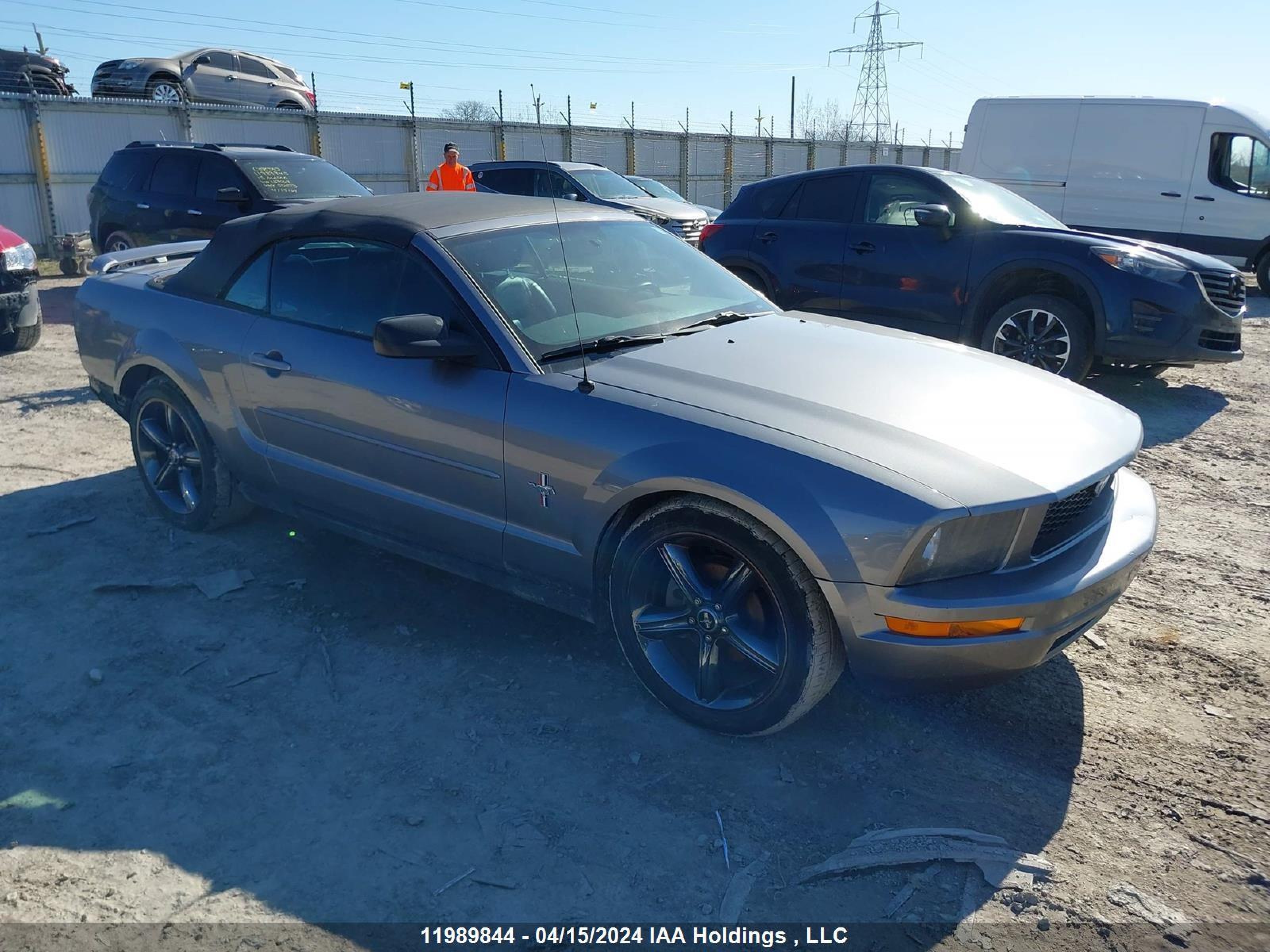 FORD MUSTANG 2006 1zvft84n865107506