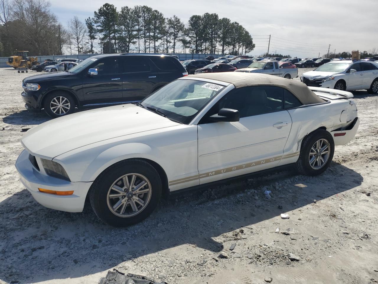 FORD MUSTANG 2006 1zvft84n865151456