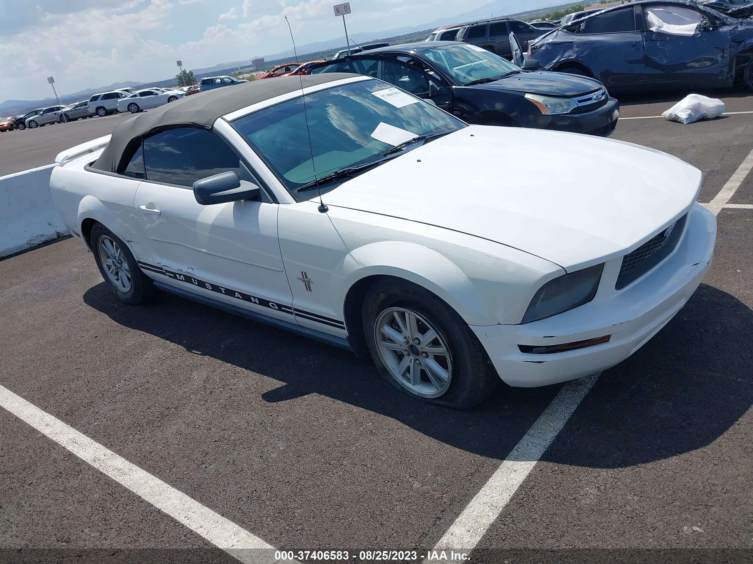 FORD MUSTANG 2006 1zvft84n865155426