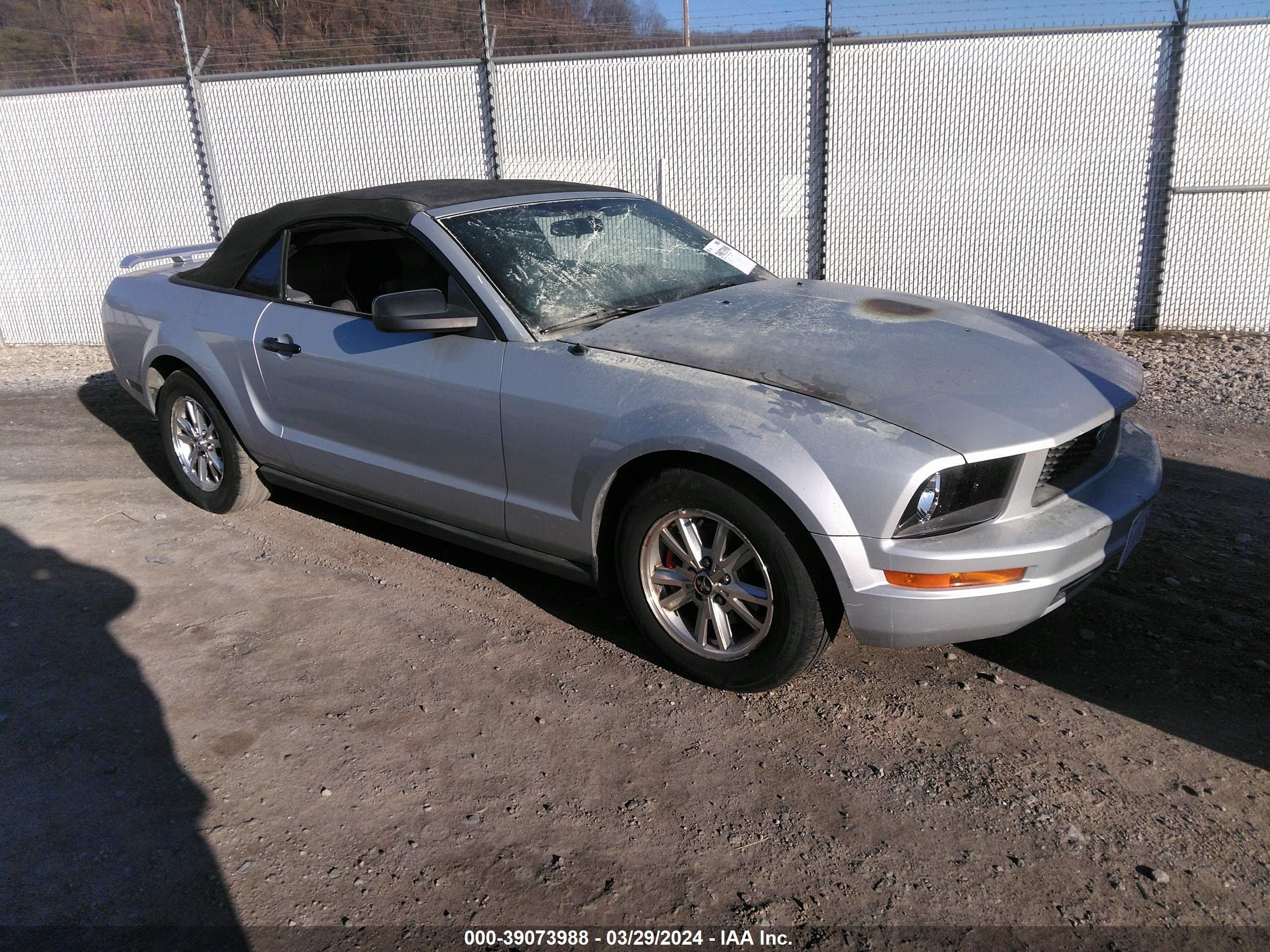 FORD MUSTANG 2006 1zvft84n865239567