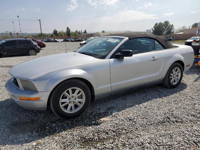 FORD MUSTANG 2007 1zvft84n875352047