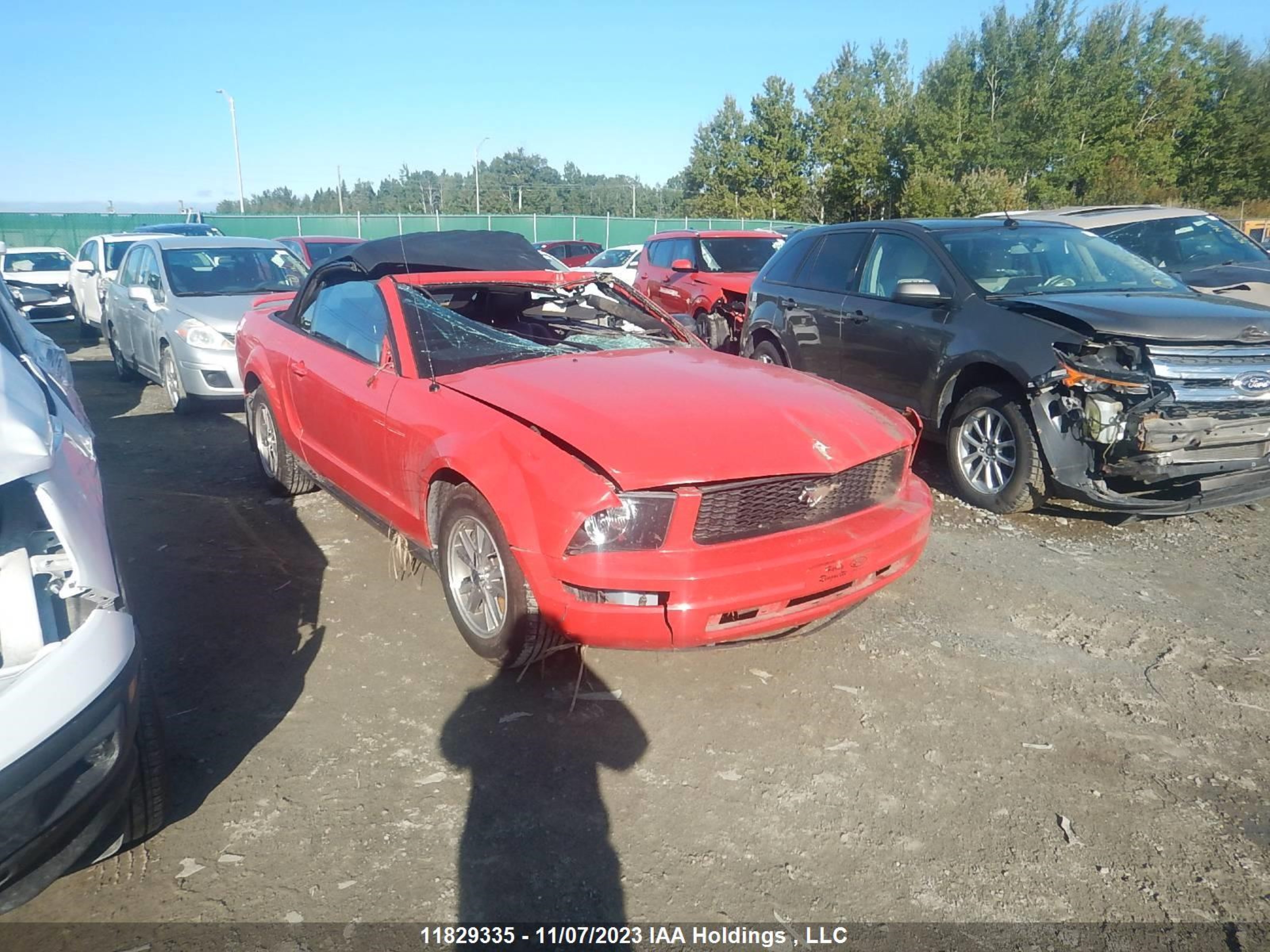 FORD MUSTANG 2005 1zvft84n955172234