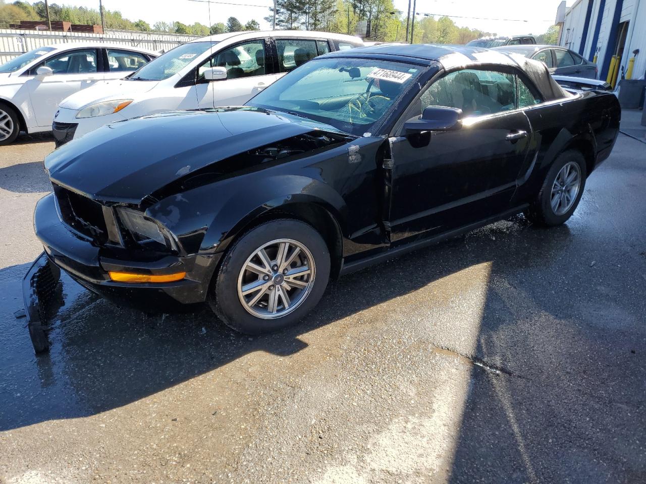 FORD MUSTANG 2005 1zvft84n955252522