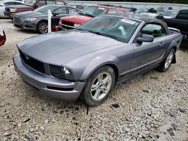 FORD MUSTANG 2006 1zvft84n965159212