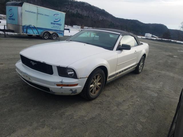 FORD MUSTANG 2007 1zvft84n975309269