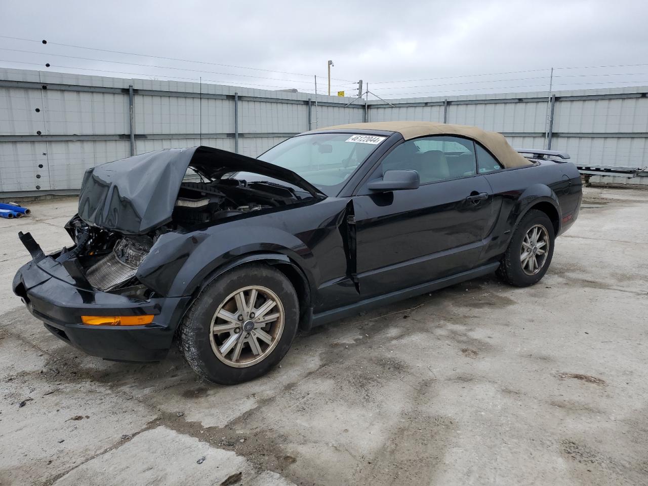 FORD MUSTANG 2006 1zvft84nx65101304