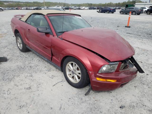 FORD MUSTANG 2006 1zvft84nx65108933