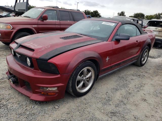 FORD MUSTANG 2006 1zvft84nx65139552