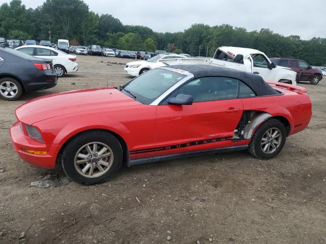 FORD MUSTANG 2006 1zvft84nx65173328