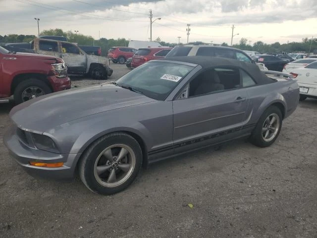 FORD MUSTANG 2006 1zvft84nx65201998