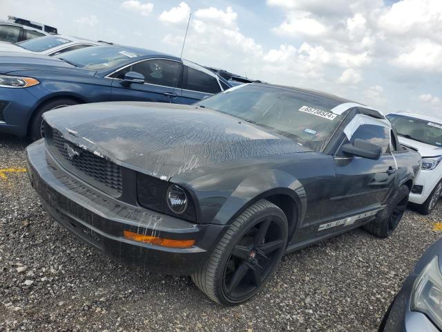 FORD MUSTANG 2007 1zvft84nx75333662