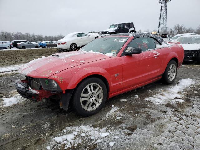 FORD MUSTANG 2006 1zvft85h065231245