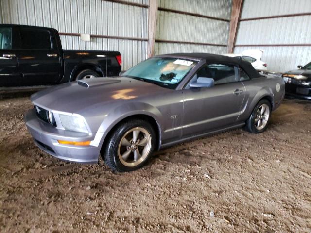 FORD MUSTANG 2006 1zvft85h165145264