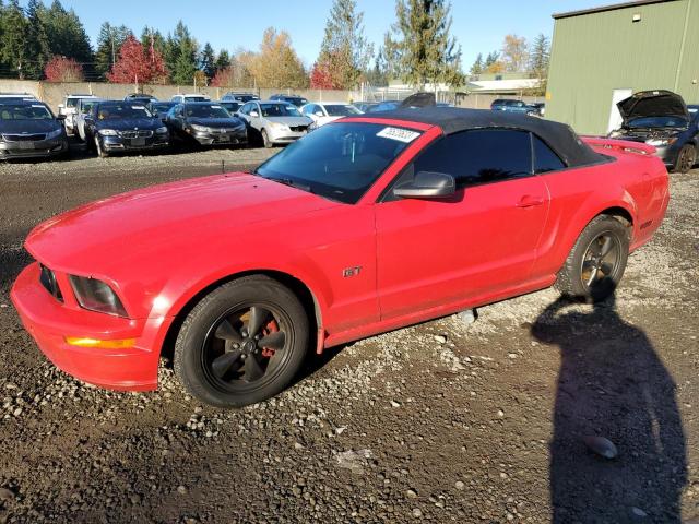 FORD MUSTANG 2005 1zvft85h355249494