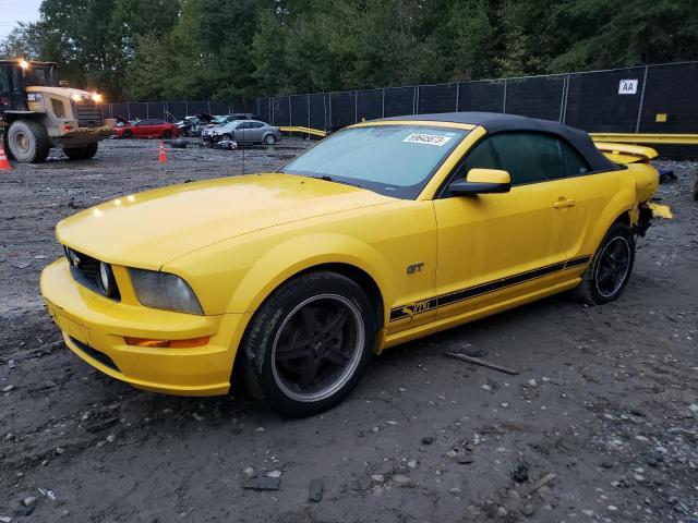 FORD MUSTANG 2006 1zvft85h365191713