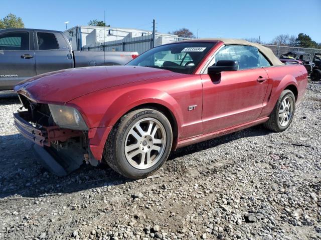 FORD MUSTANG 2005 1zvft85h455217556