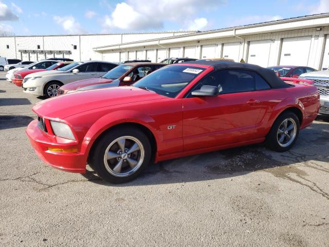 FORD MUSTANG 2006 1zvft85h465239526