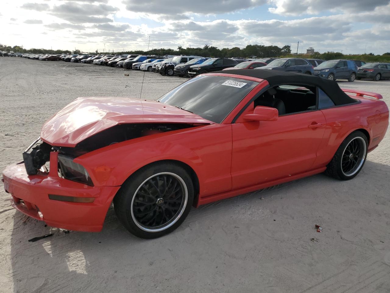 FORD MUSTANG 2005 1zvft85h755172659