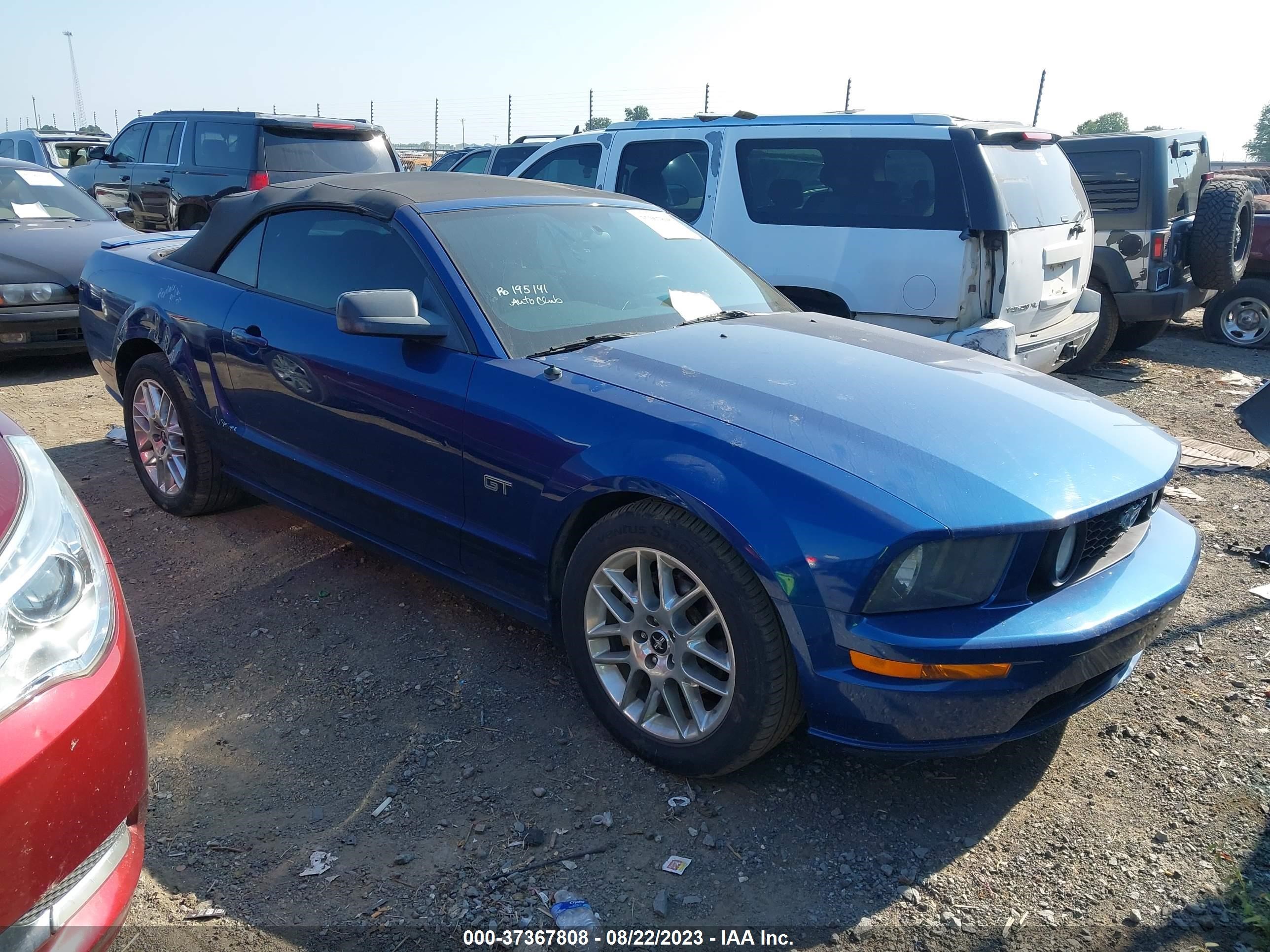 FORD MUSTANG 2006 1zvft85h765137847