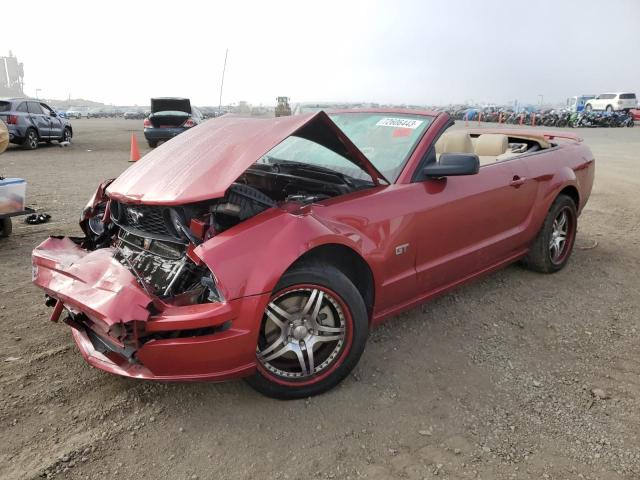 FORD MUSTANG 2005 1zvft85h855251418