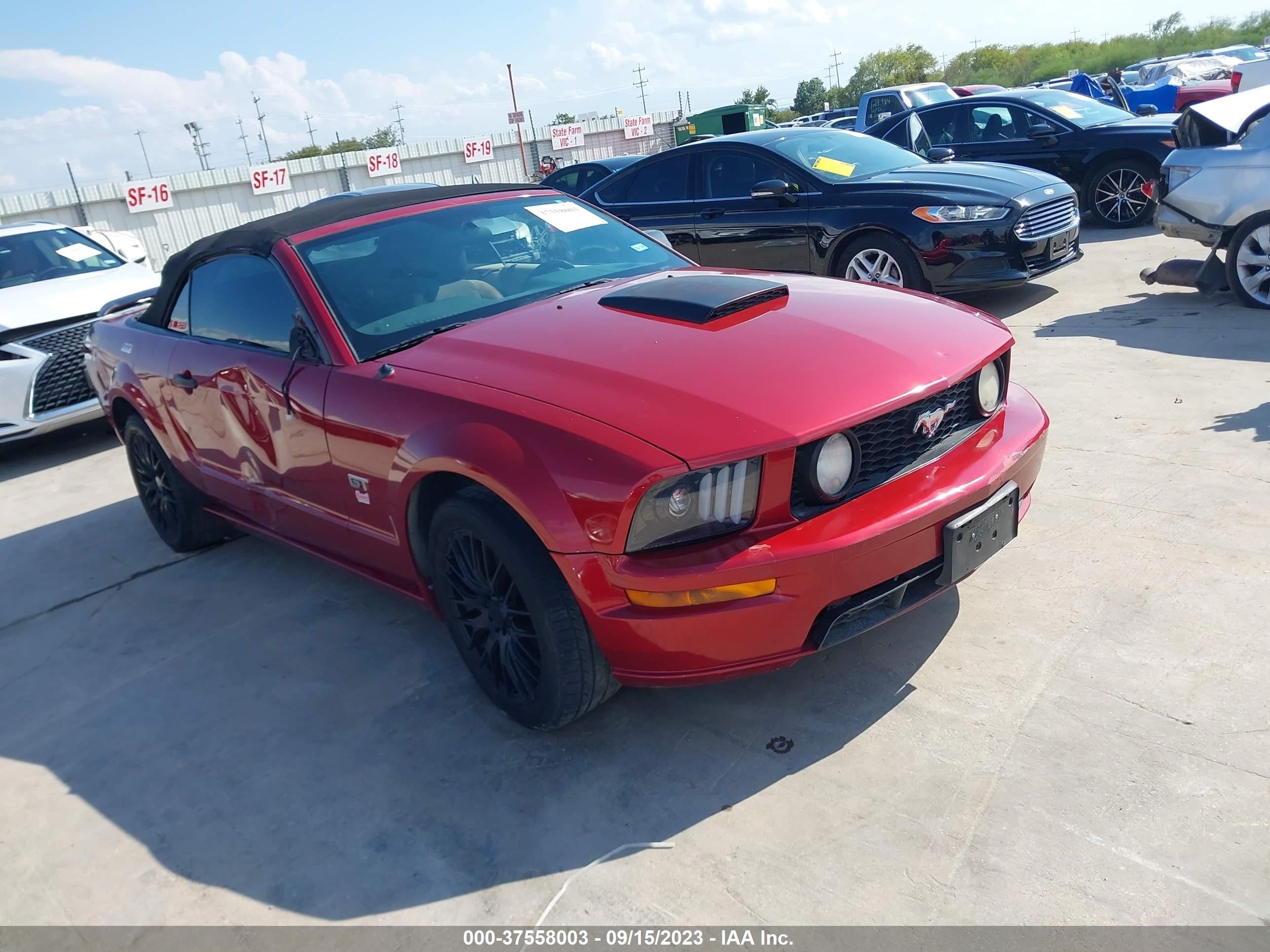 FORD MUSTANG 2007 1zvft85hx75256218