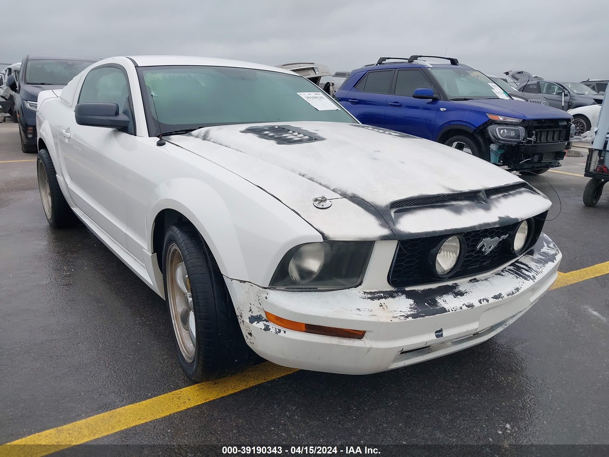 FORD MUSTANG 2006 1zvft8on265141883