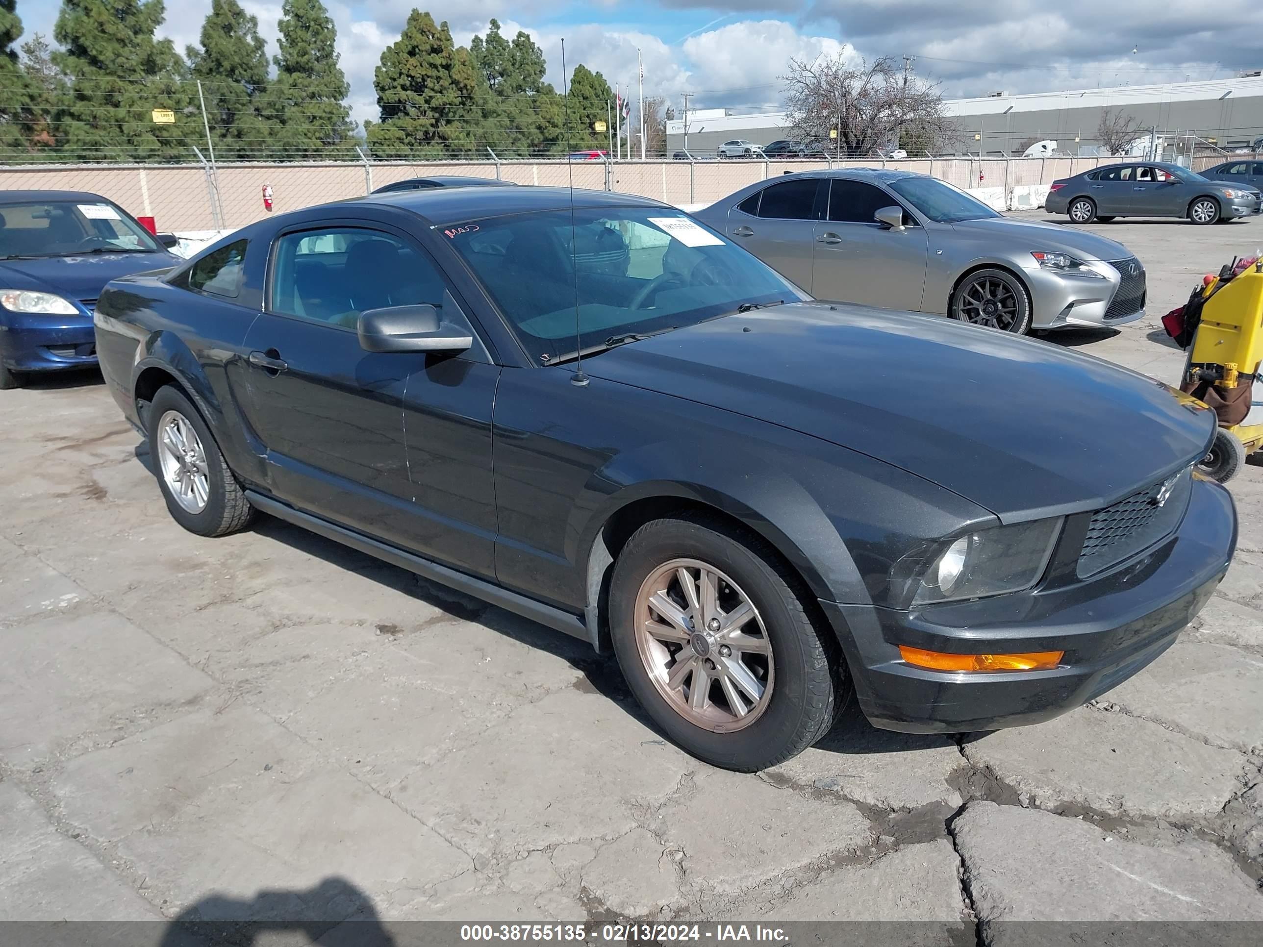 FORD MUSTANG 2007 1zvht80n075365809