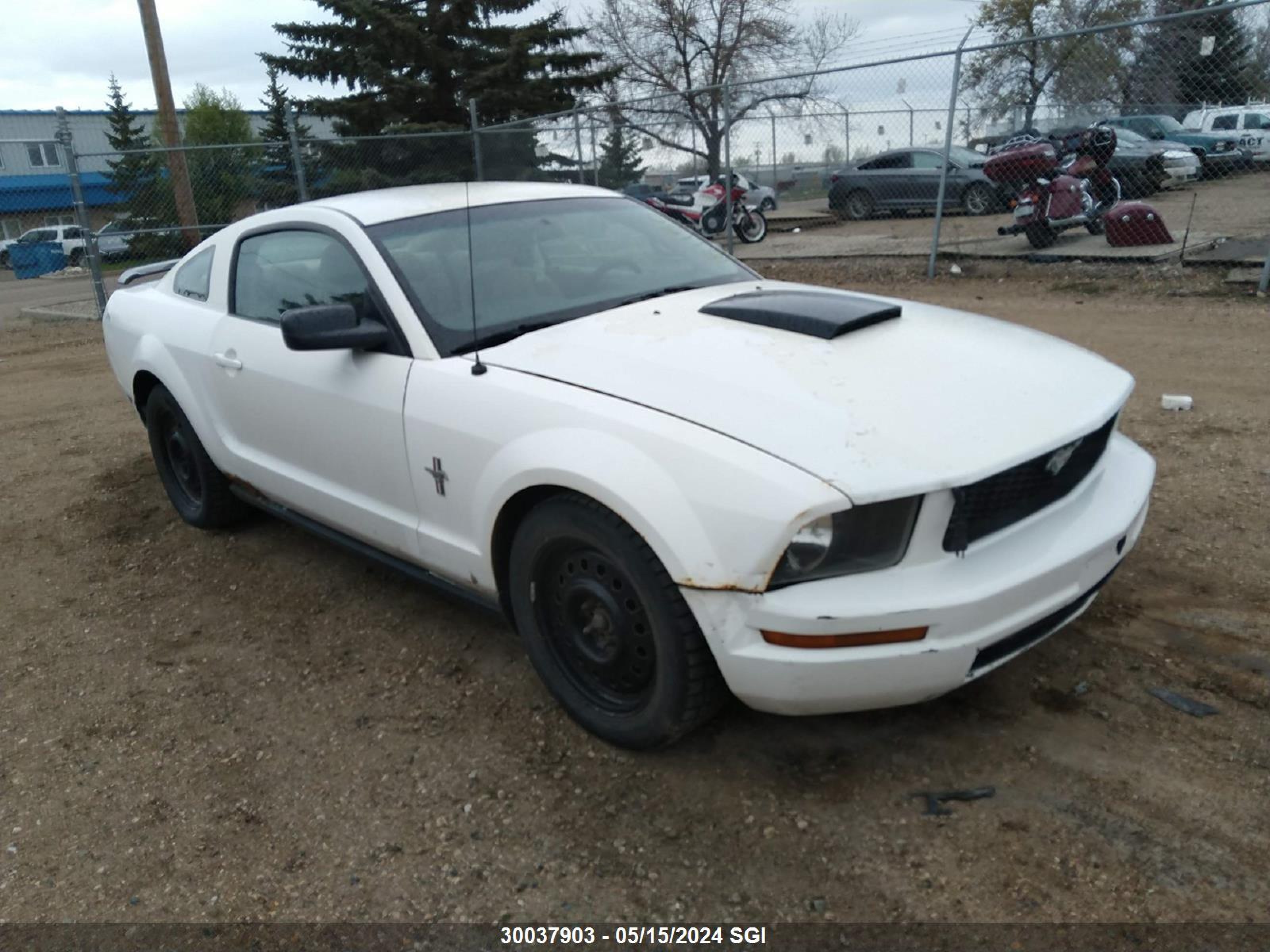 FORD MUSTANG 2008 1zvht80n085181150