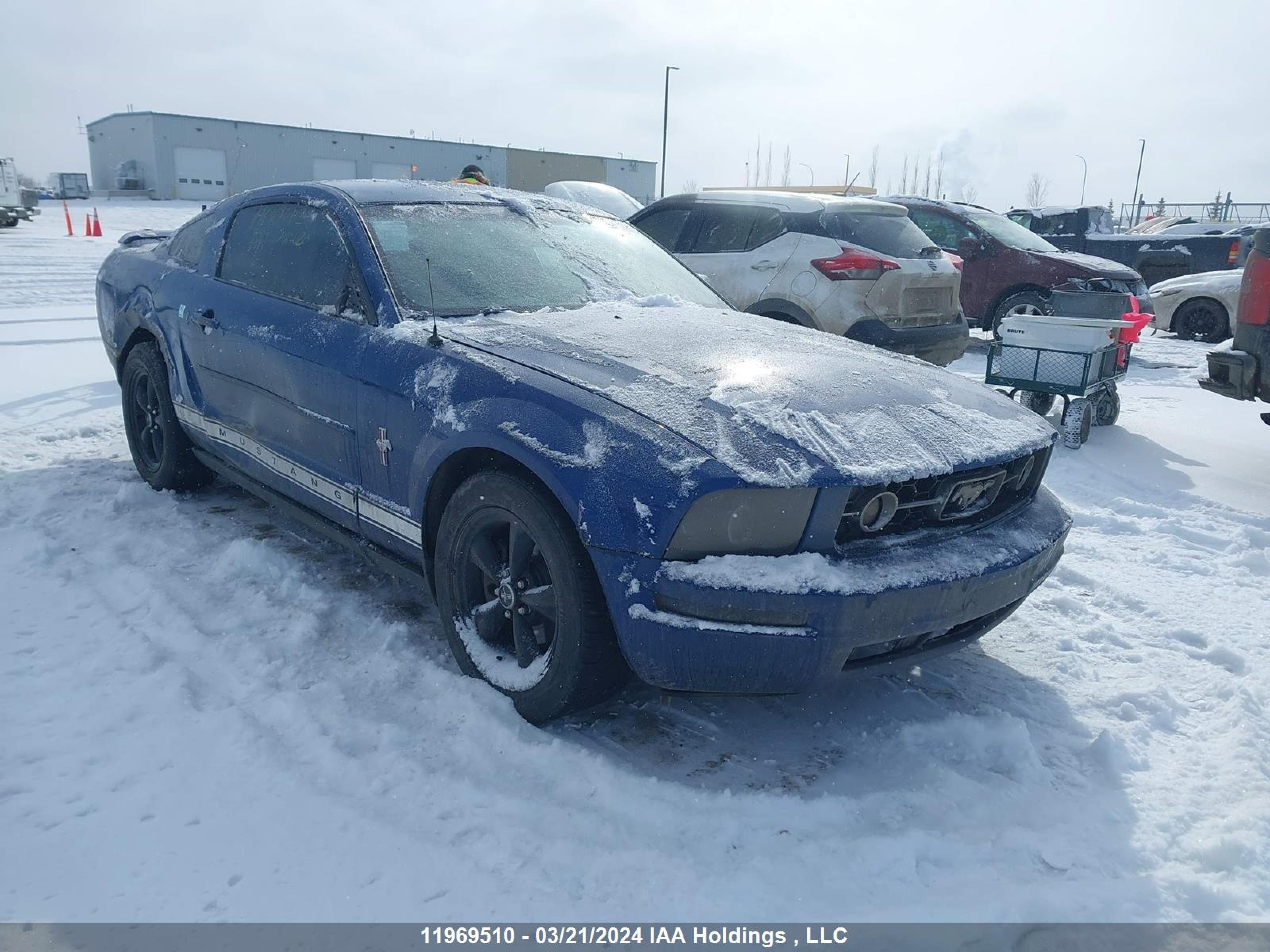 FORD MUSTANG 2006 1zvht80n165146758