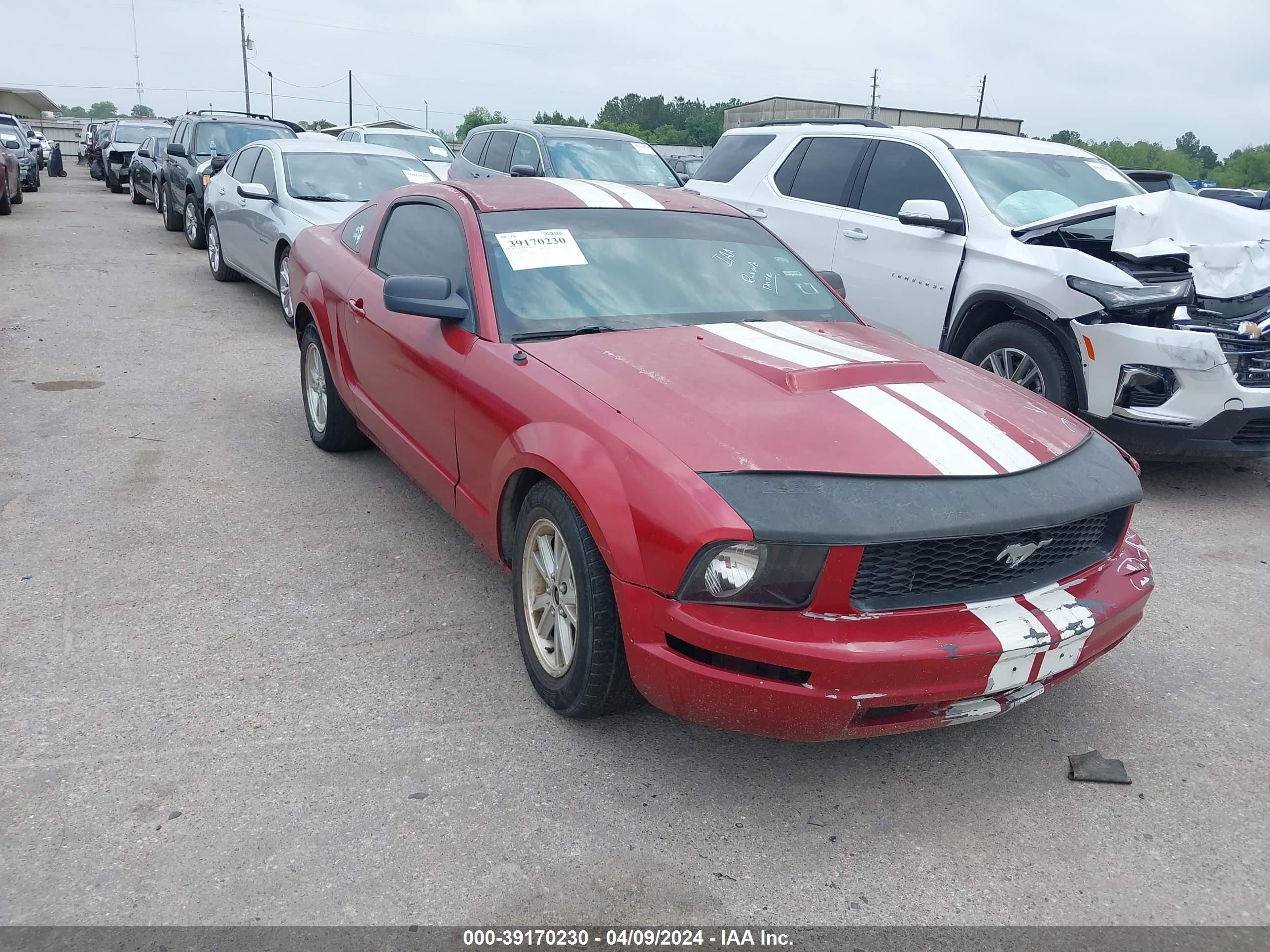 FORD MUSTANG 2008 1zvht80n185142485