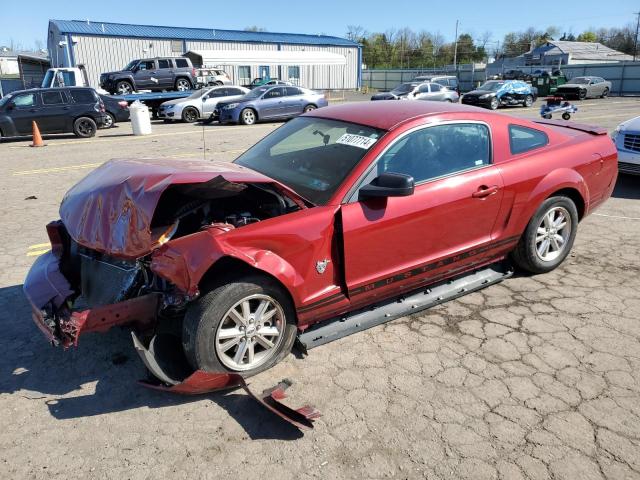 FORD MUSTANG 2009 1zvht80n195115157