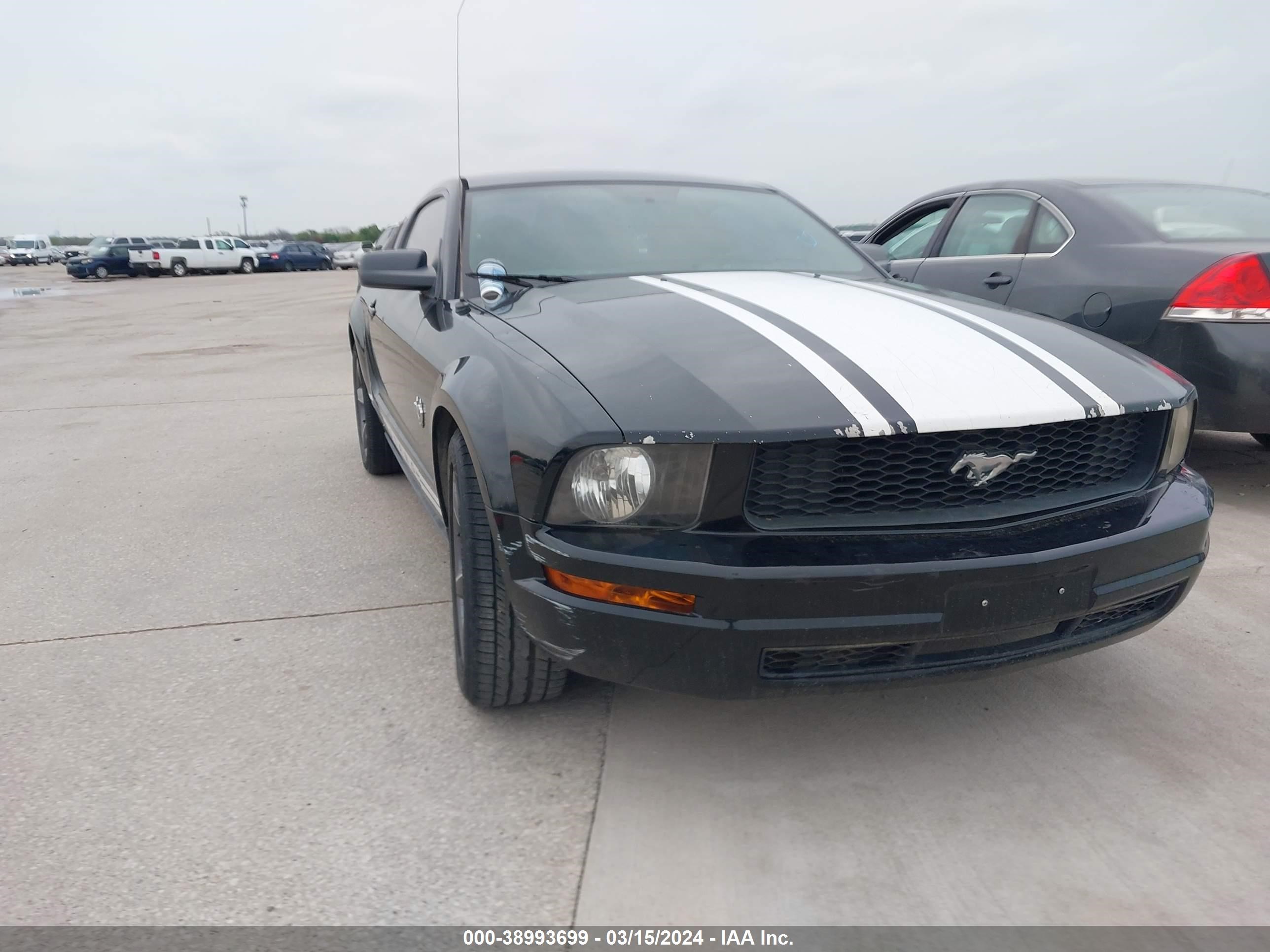 FORD MUSTANG 2009 1zvht80n195125848