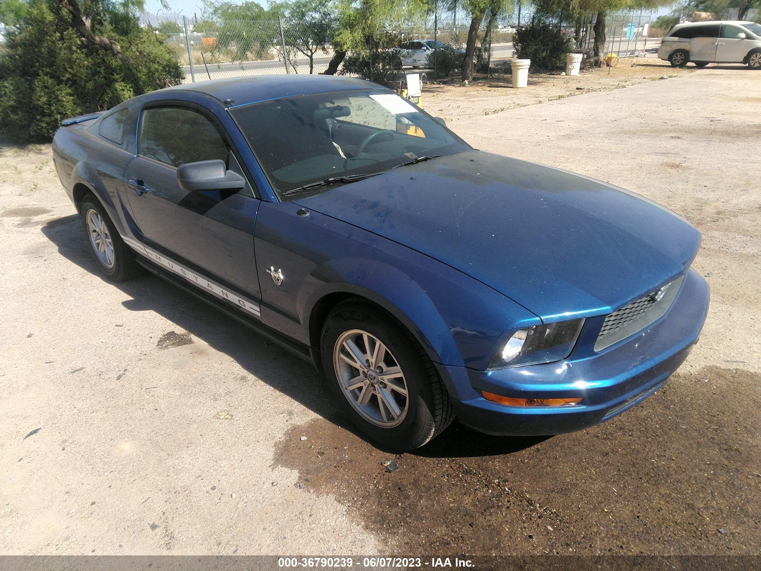 FORD MUSTANG 2009 1zvht80n195128670