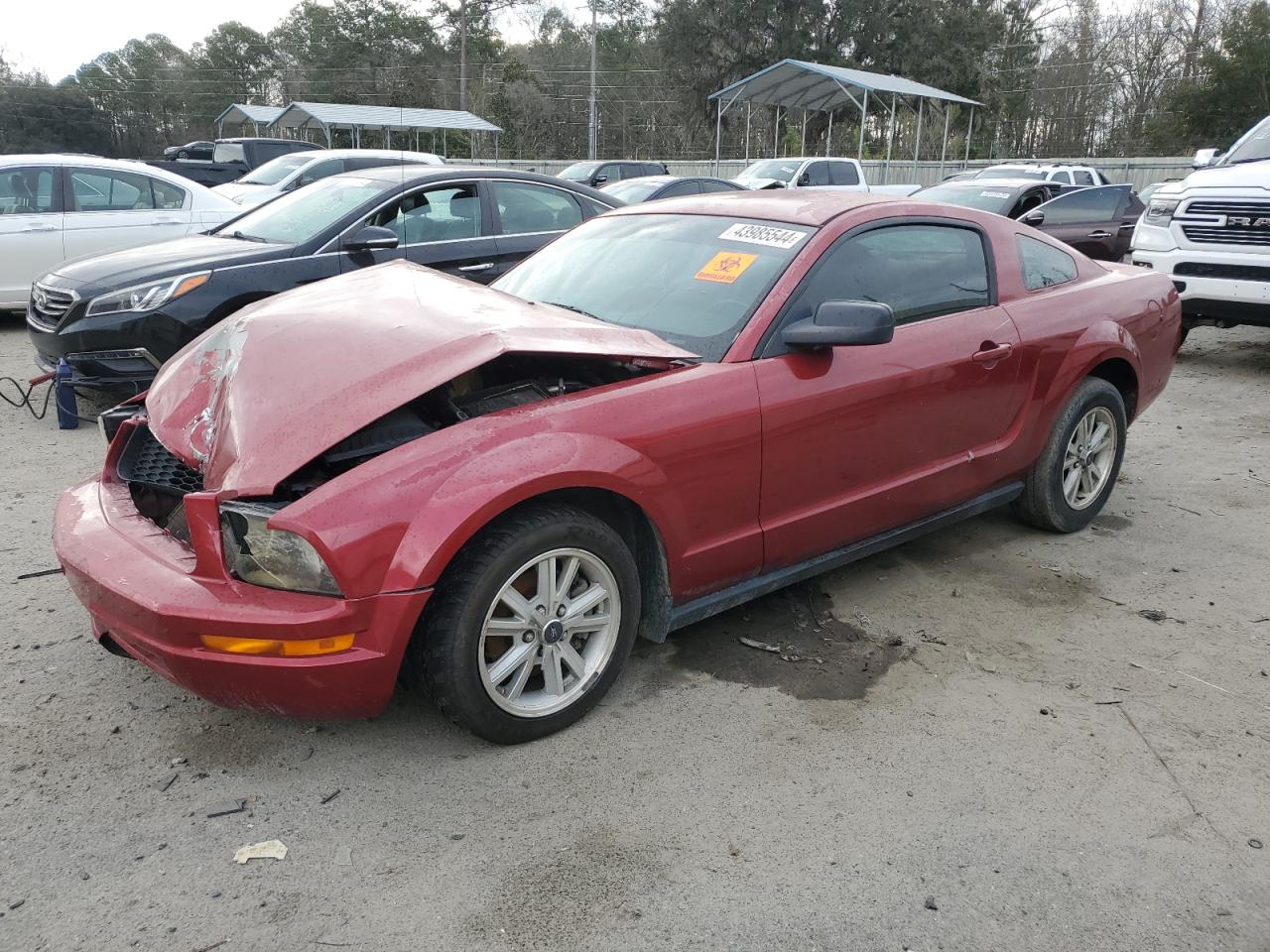 FORD MUSTANG 2006 1zvht80n265175833