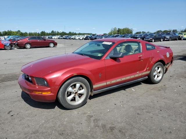 FORD MUSTANG 2008 1zvht80n285111035