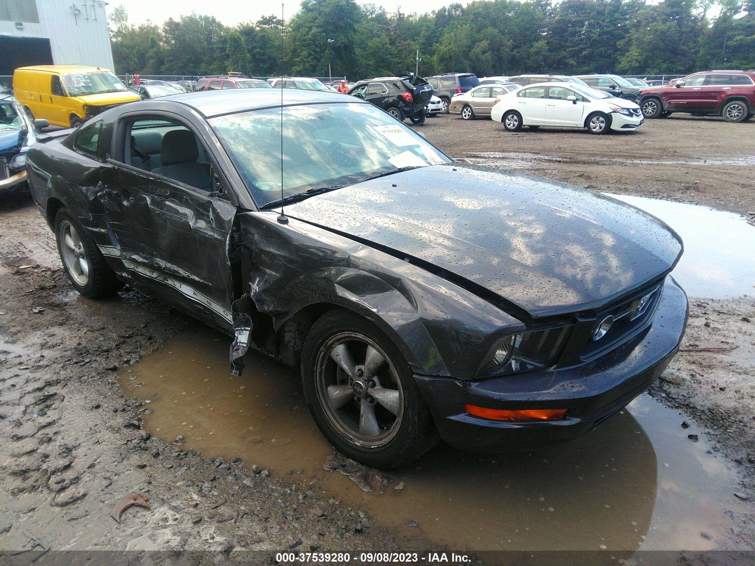 FORD MUSTANG 2008 1zvht80n285135996