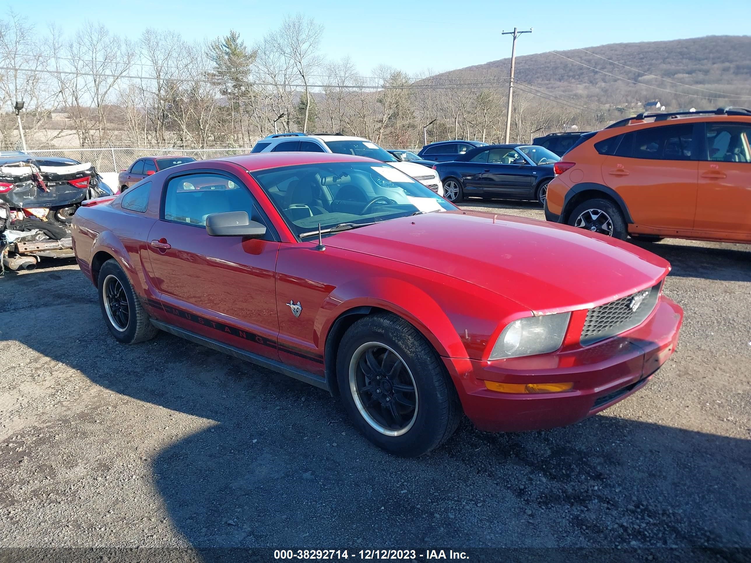 FORD MUSTANG 2009 1zvht80n295104409