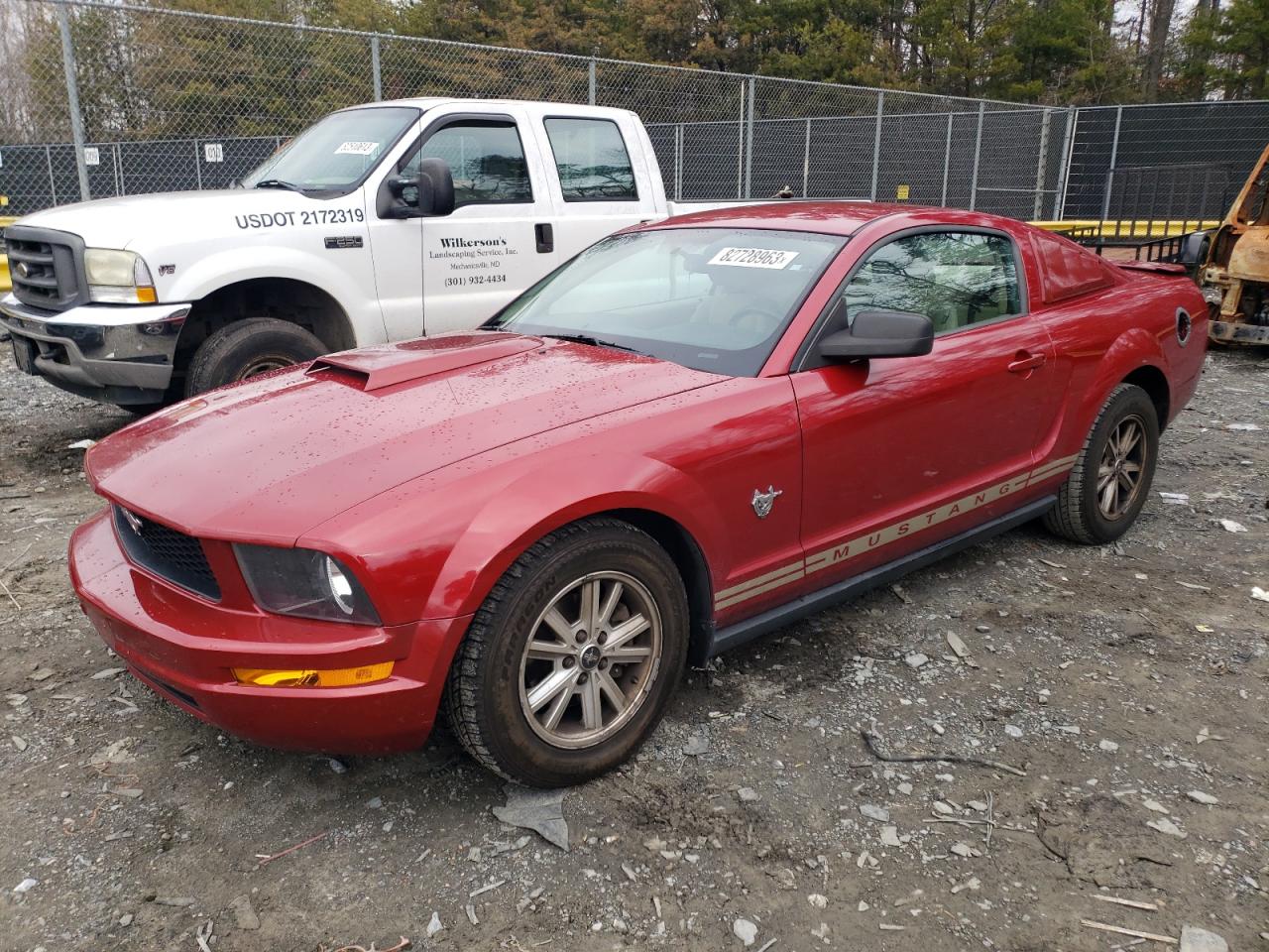 FORD MUSTANG 2009 1zvht80n295112316