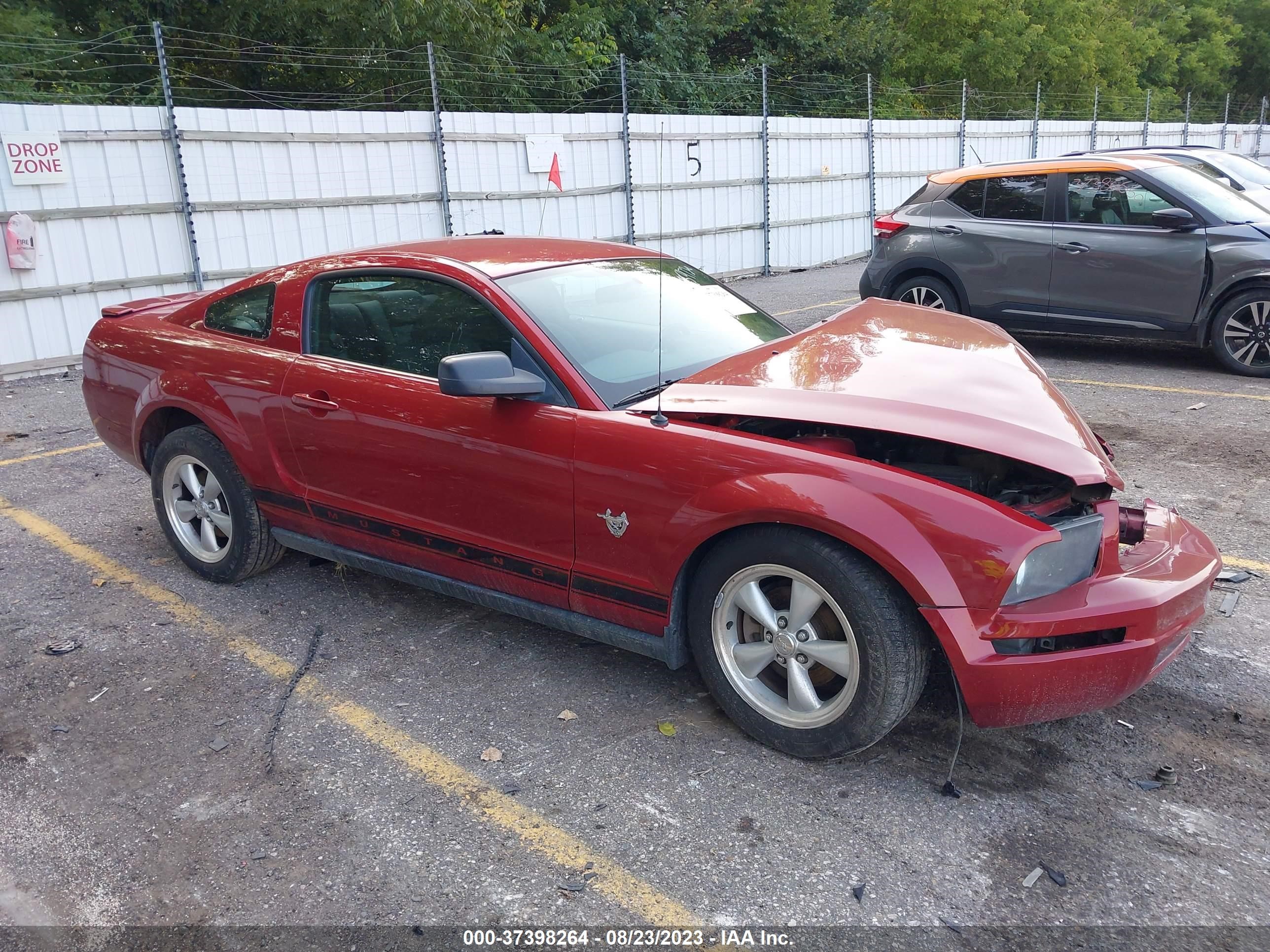 FORD MUSTANG 2009 1zvht80n295125972