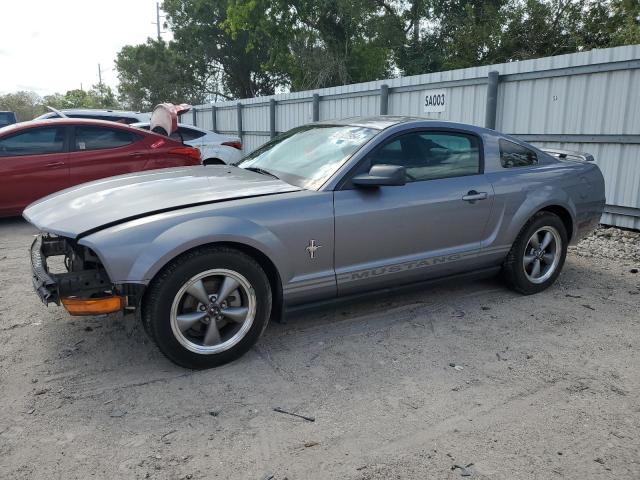 FORD MUSTANG 2006 1zvht80n365191538