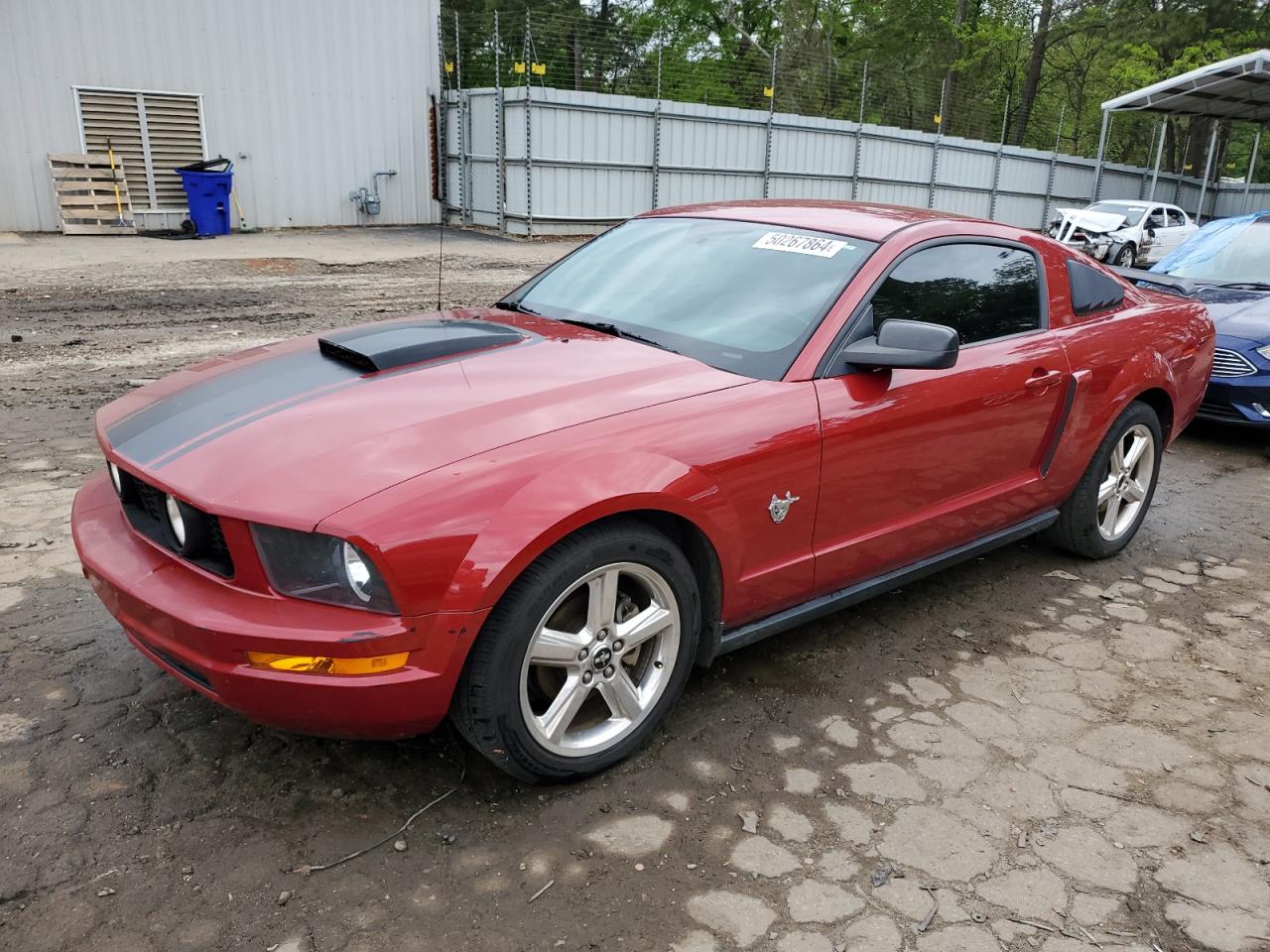 FORD MUSTANG 2009 1zvht80n395114124