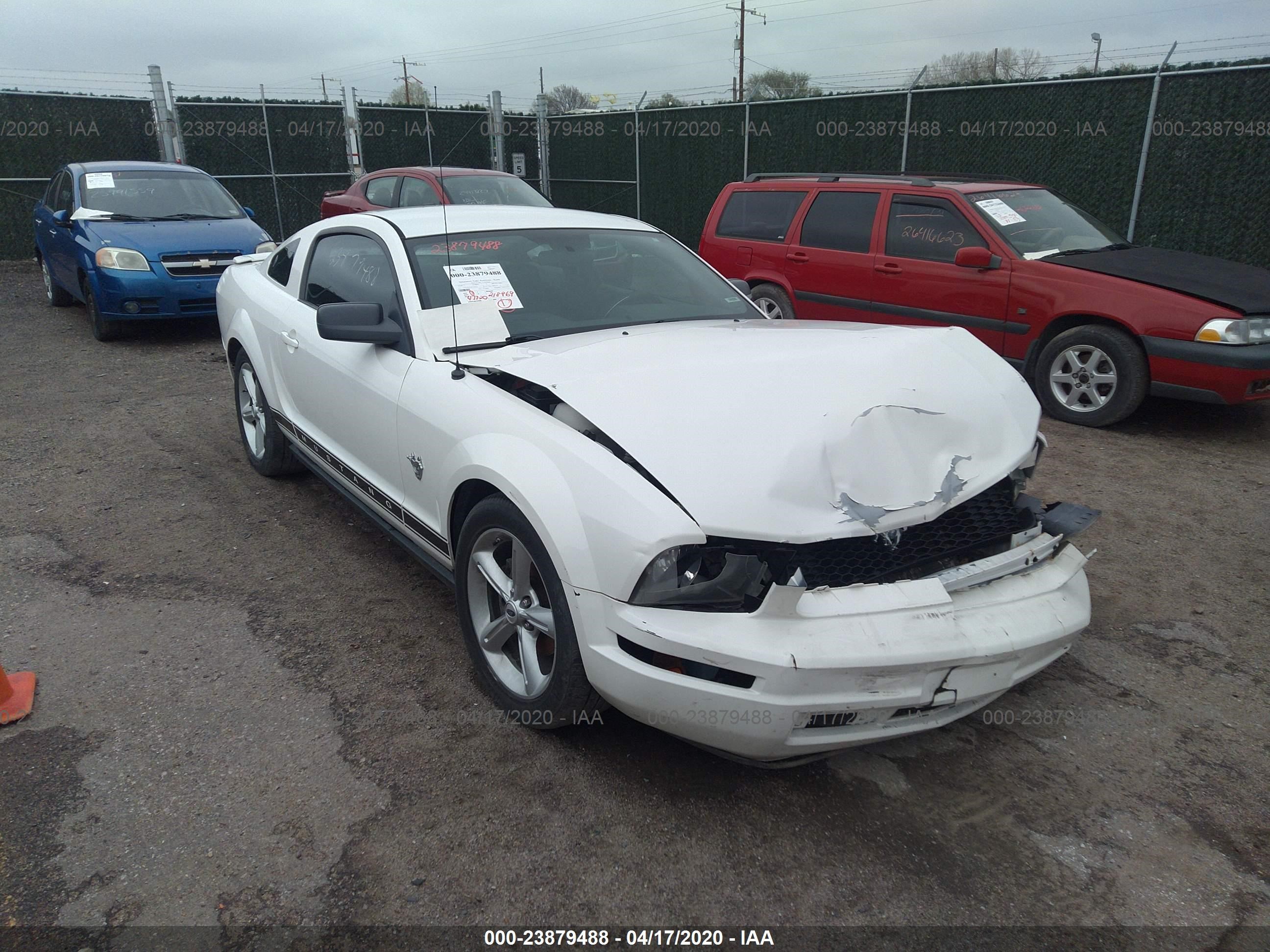 FORD MUSTANG 2009 1zvht80n395129545