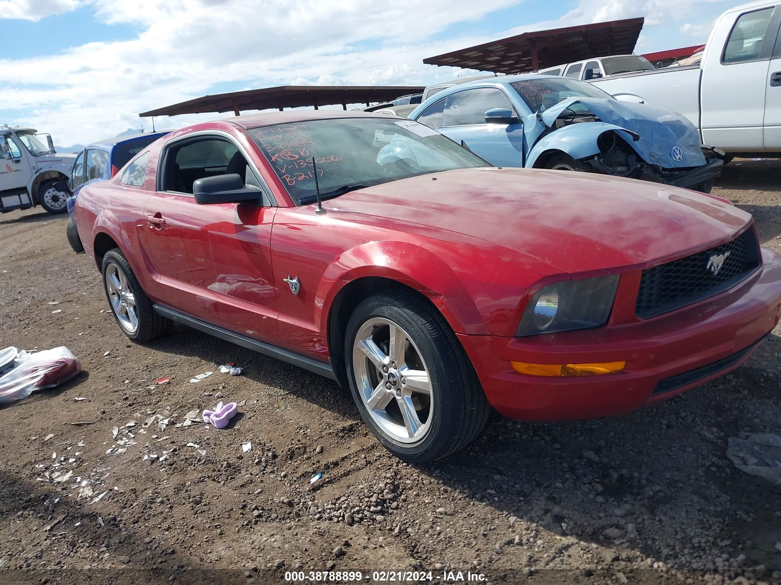 FORD MUSTANG 2009 1zvht80n395135006