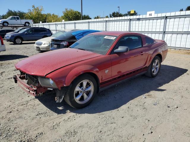 FORD MUSTANG 2009 1zvht80n395140061